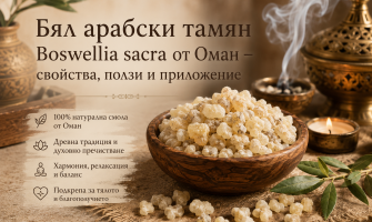 Бял арабски тамян Boswellia sacra от Оман – свойства, ползи и приложение